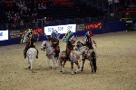 Quadrille - 00260